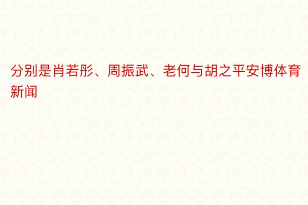 分别是肖若彤、周振武、老何与胡之平安博体育新闻